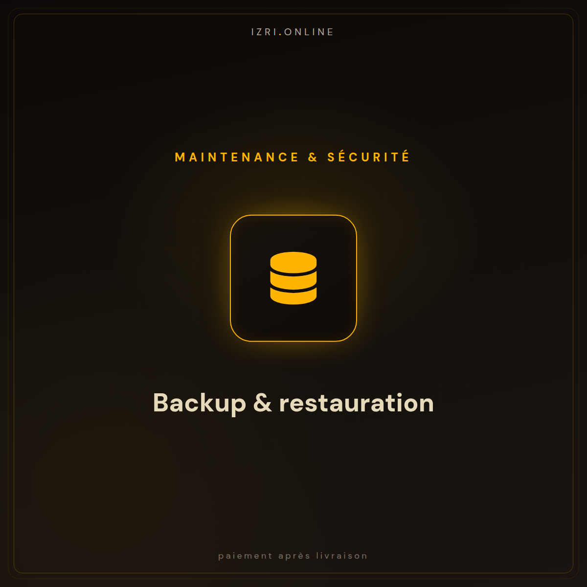 Sauvegarde automatique de votre boutique (restauration incluse)