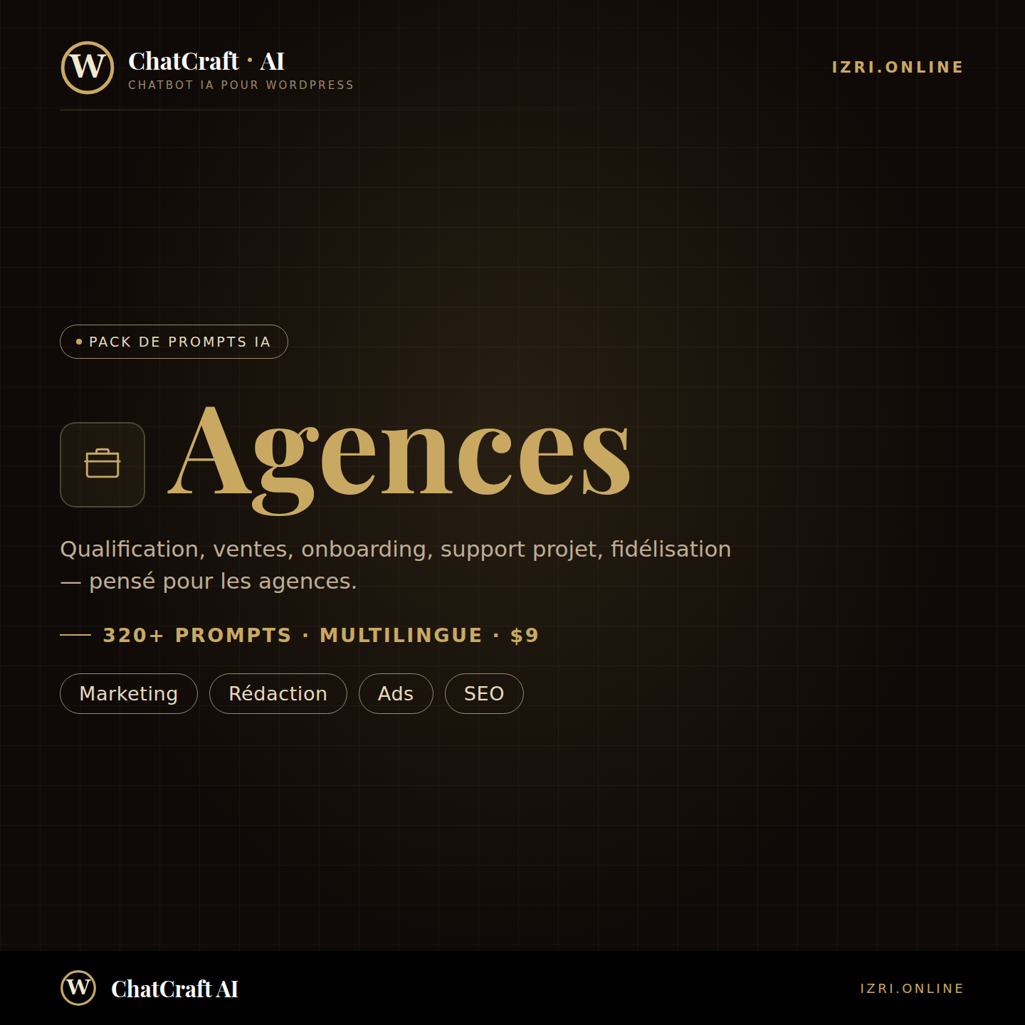Pack de Prompts IA — Agences (320+)